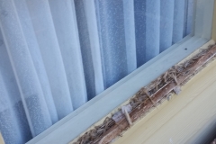 20190411_085425