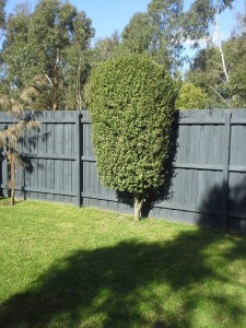 Dave's Home Maintenance, Ferntree Gully Property Maintenance