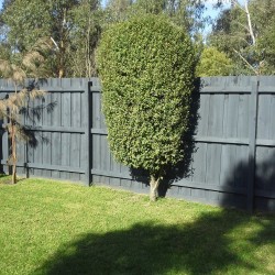 Dave's Home Maintenance, Ferntree Gully Property Maintenance