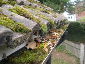 daves home maintenance, home repairs melbourne, gutter cleaning melbourne, 
