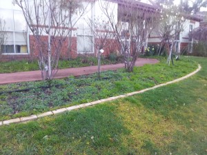 preparing your house for sale melbourne, daves home maintenance melbourne, handyman melbourne