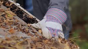 Daves Home Maintenance, gutter cleaning, melbourne home maintenance, melbourne handyman, gutter cleaning melbourne, handyman melbourne